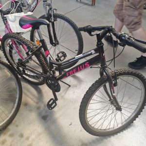 bici2